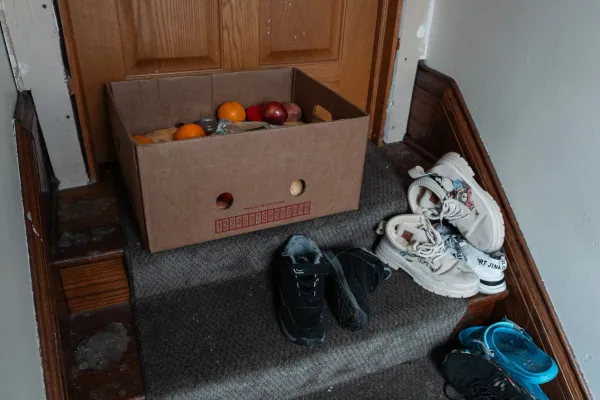 The quiet lessons of Minnesota